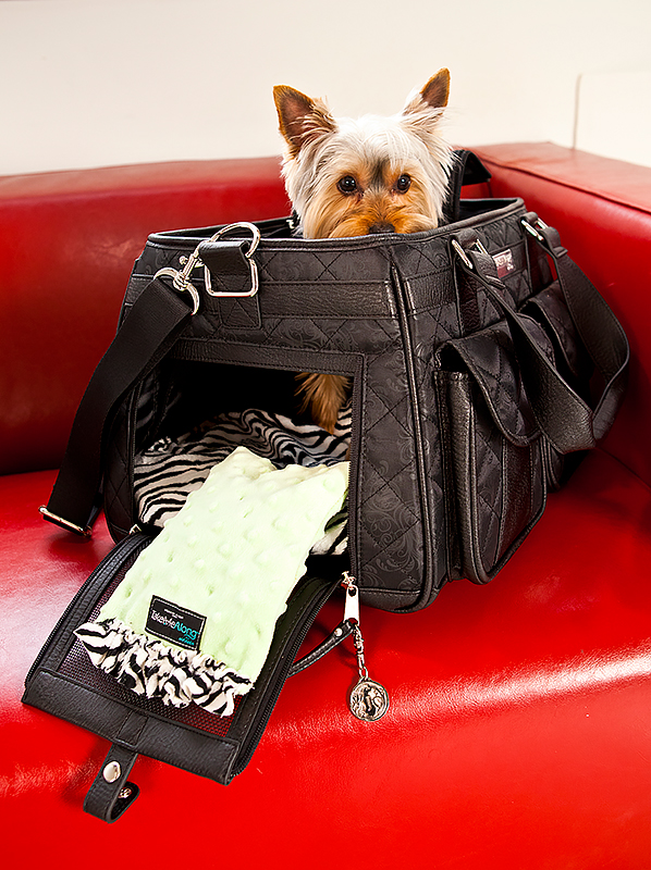 Jaradén Mon Ami Kennel