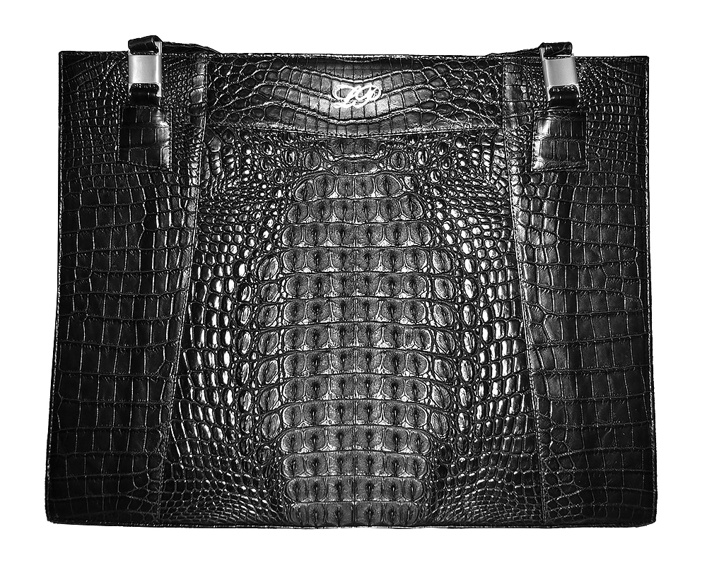 Front - Crocodile Horn Back