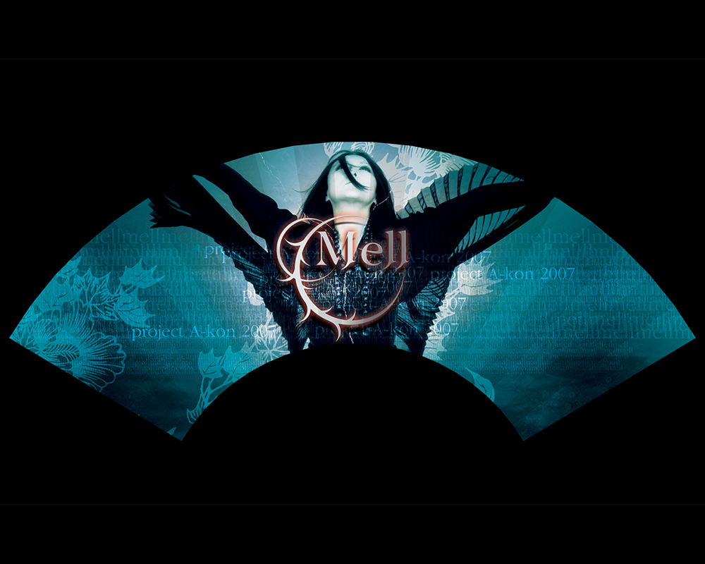 Concert Tour Merchandise - Fan