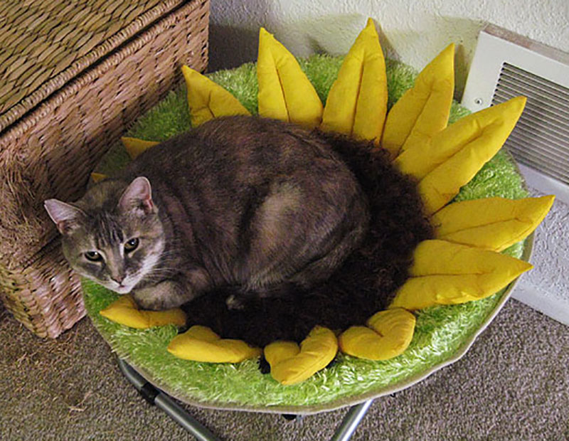 Sunflower - Collapsible Cushion Bed