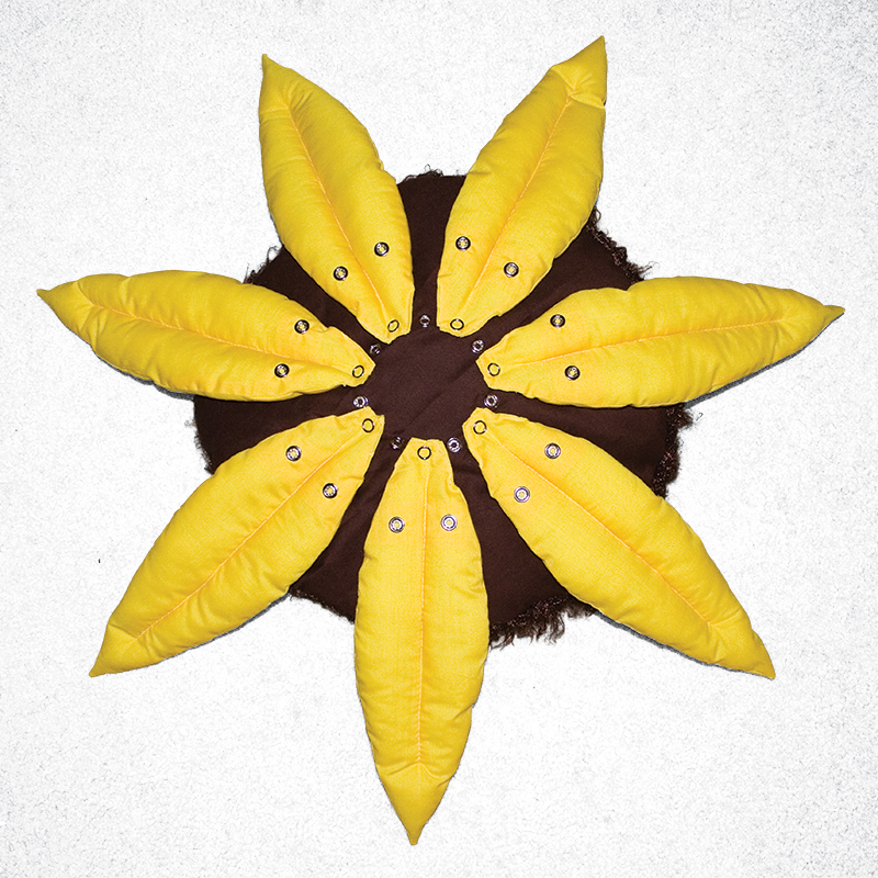 The first layer petals