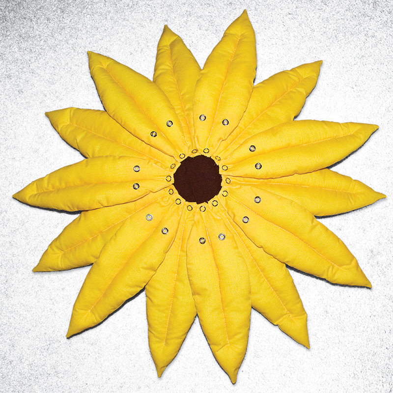 The second layer petals